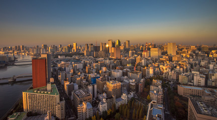 Tokyo aerial panoramic view