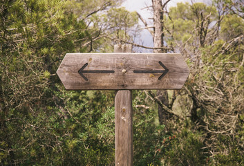 Wooden post in the woods with a sign with two arrow