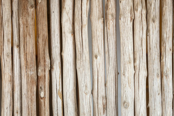 Wood log background textured