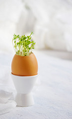 watercress salad and in eggshells - Easter card
