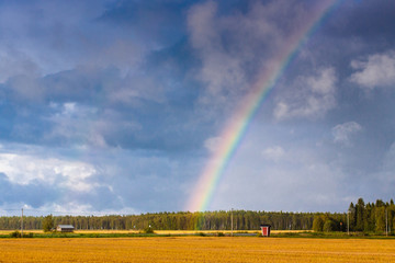 Autumn In The Fields 1