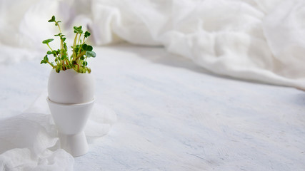 Fototapeta premium watercress salad and in eggshells - Easter card