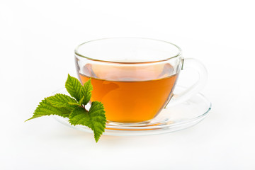 Glass Cup Tea with Mint Leaf, Isolated on White Background