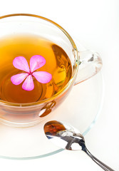 Glass Cup Tea with Mint Leaf and pink flower, Isolated on White