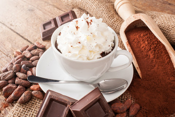 Cup of hot chocolate with whipped cream