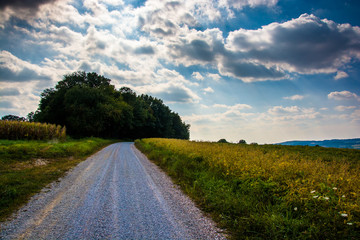 Cloudy sky over a dirt road and farm fields in rural York County