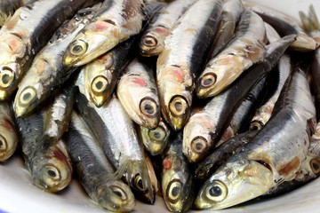 Obraz premium raw anchovies ready to Cook