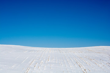 青空と雪の丘