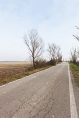 Fototapeta premium Italian countryside