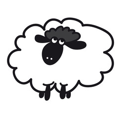 Dickes Schaf schaut skeptisch 