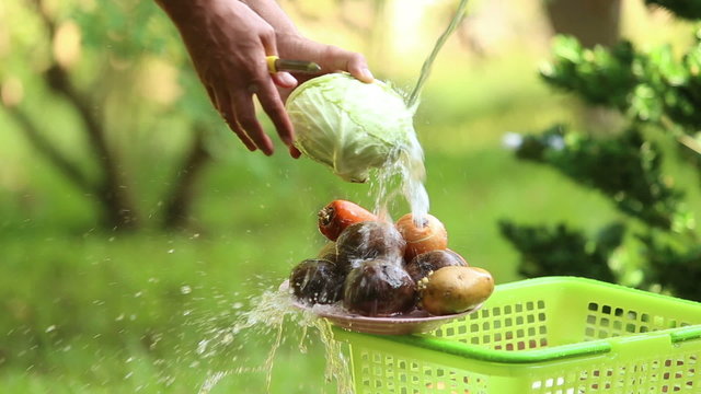man washed cabbage and pour water on different vegetables