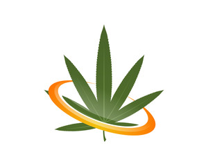 Marijuana Hemp Cannabis Medicine Plant 2