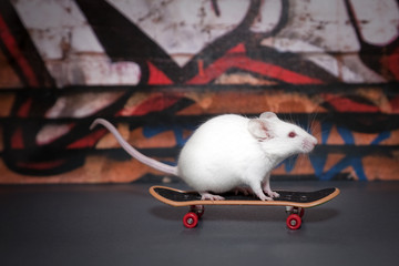 Mouse skating