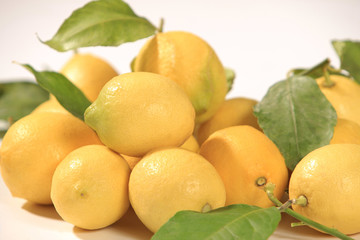 Zitronen mit Blatt