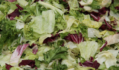 The Prepared Leaves of a Fresh Green Salad.