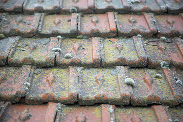Roof with ice and moss