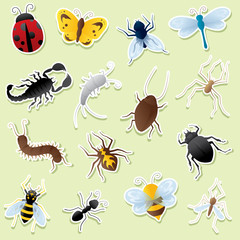 Creepy Crawly Cutouts