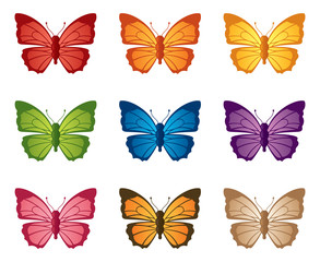 Butterflutter