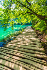Fototapeta premium Chodnik # 10, Plitvice Lakes NP, Chorwacja