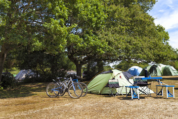 Family tents in camping site under the oak trees
