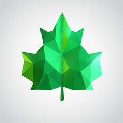 Low poly green leaf