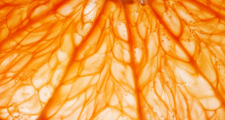 Fresh grapefruit slice closeup