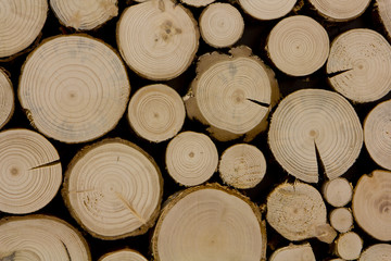 struktura drewna © marcinbawiec