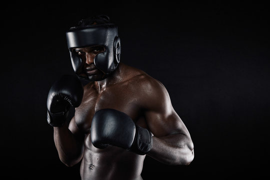 Young Male Boxer In A Fighting Stance