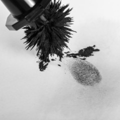Fingerprint