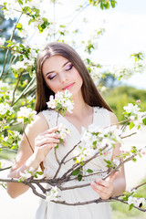 Fototapeta premium Beautiful girl in a cherry blossom garden