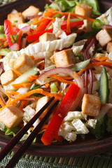 Healthy salad with tofu and fresh vegetables macro vertical