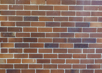 Obraz premium Brick wall. Multicolor texture. Can be used as background