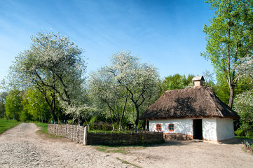 Fototapeta na wymiar Ukrainian village in the spring in Pirogovo near Kiev