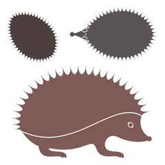 Hedgehog