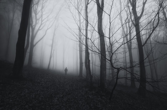 spooky forest landscape with man and twisted trees on halloween