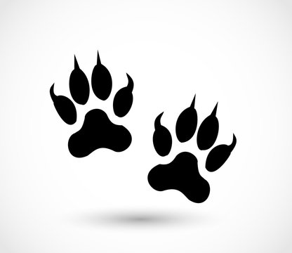 Animal footprint - cat vector