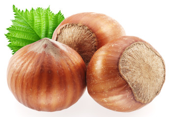 Hazelnuts with leaves on a white background.