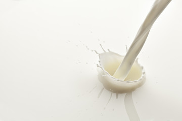 Splash of milk photo. Closeup.