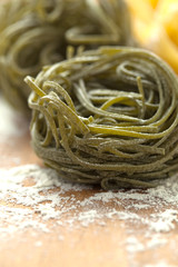 frische hausgemachte  tagliatelle 