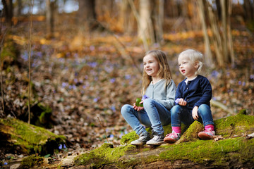 Fototapeta premium Two sisters picking the first flowers of spring