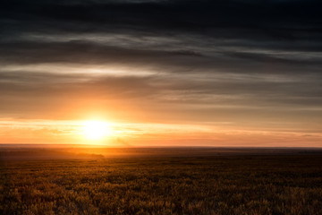 beautiful sunset in field. spring landscape - Powered by Adobe