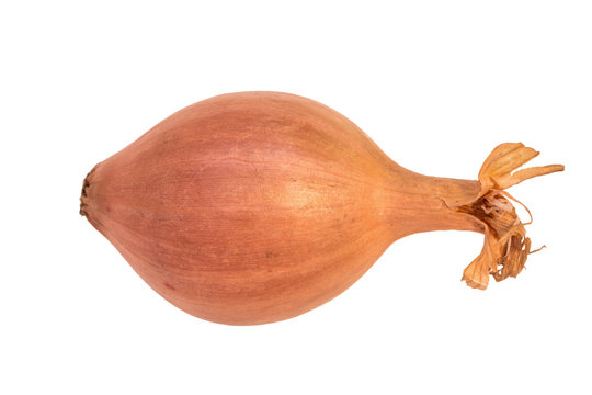 รูปภาพShallot – เลือกดูภาพถ่ายสต็อก เวกเตอร์ และวิดีโอ63,254 | Adobe Stock