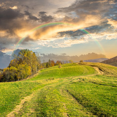 path on hillside meadow in mountain at sunrise