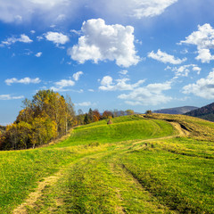 Fototapeta na wymiar path on hillside meadow in mountain at sunrise