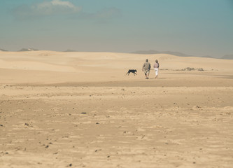 Couple with dog walking on beach with big sand dunes and blue sk