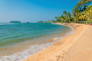 Exotic sandy beach full of palm trees, Asian islands