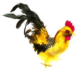 A colourful artificial cock as a table decoration