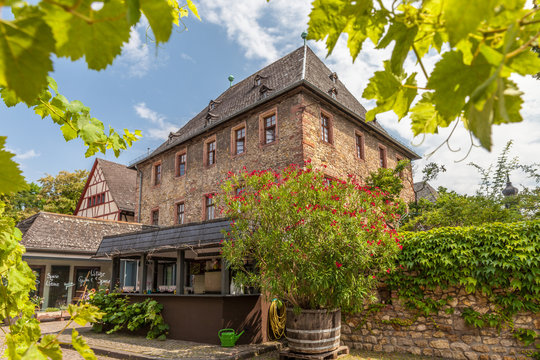Weingut im Rheingau