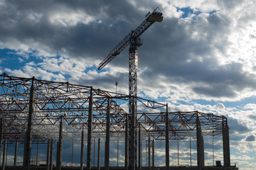 Building framework and tower crane