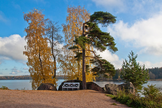 Viborg